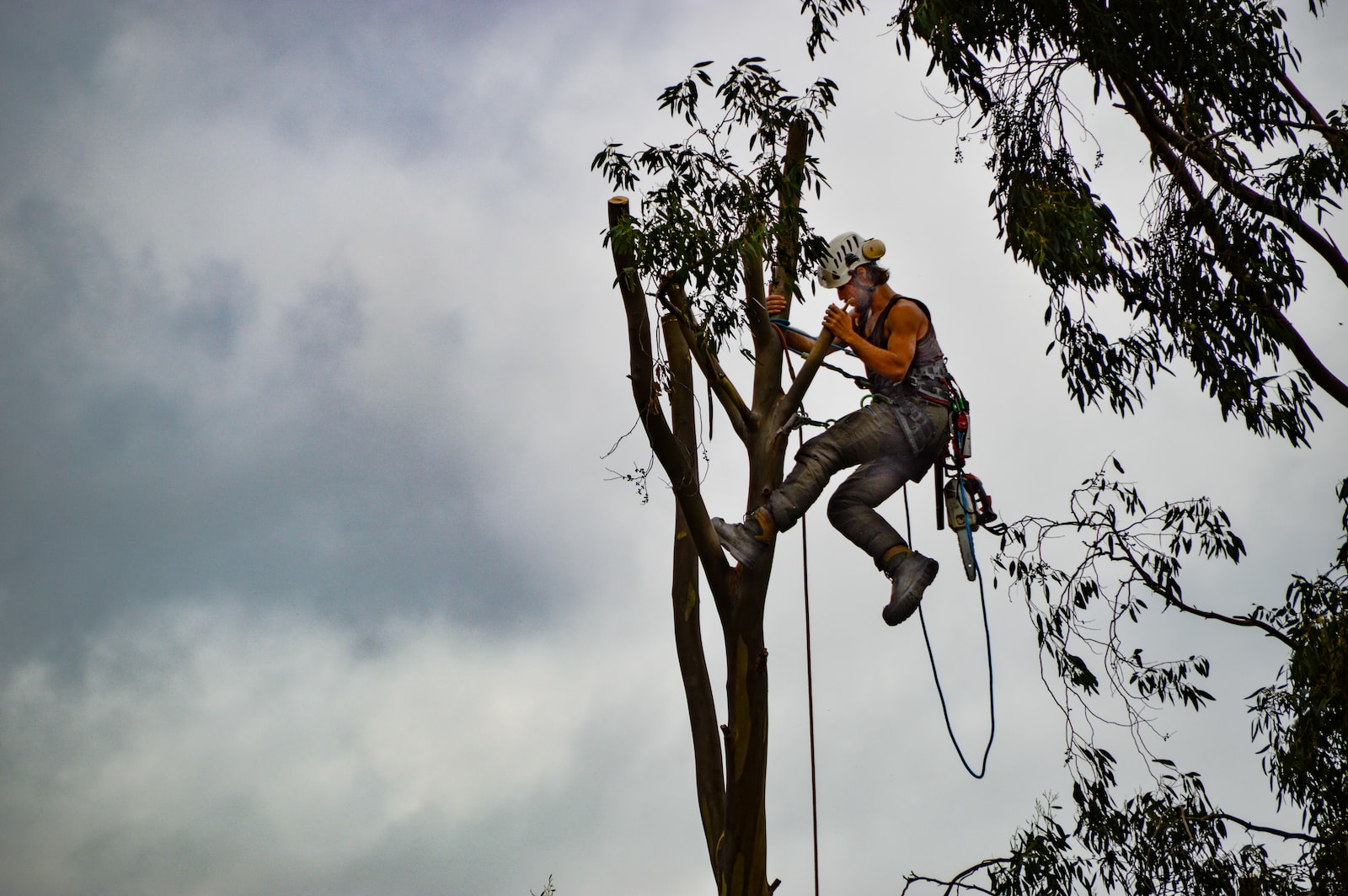 man in orange shirt sitting on tree branch