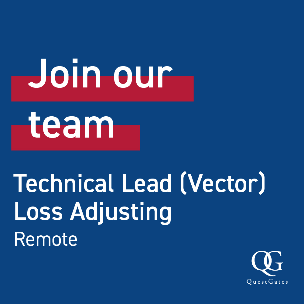Techincal Lead - Vector